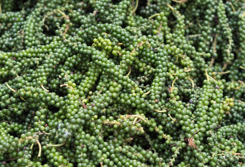 Best Fresh Black Whole Peppercorns from India