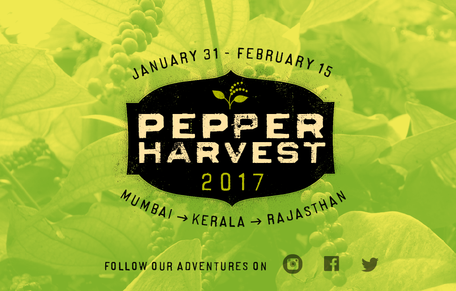 Pepper Podcast #1 • Upcoming India Trip to See the Pepper Harvest