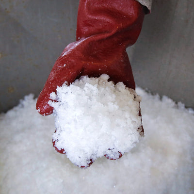 Fresh coarse, flake white Icelandic sea salt in hand