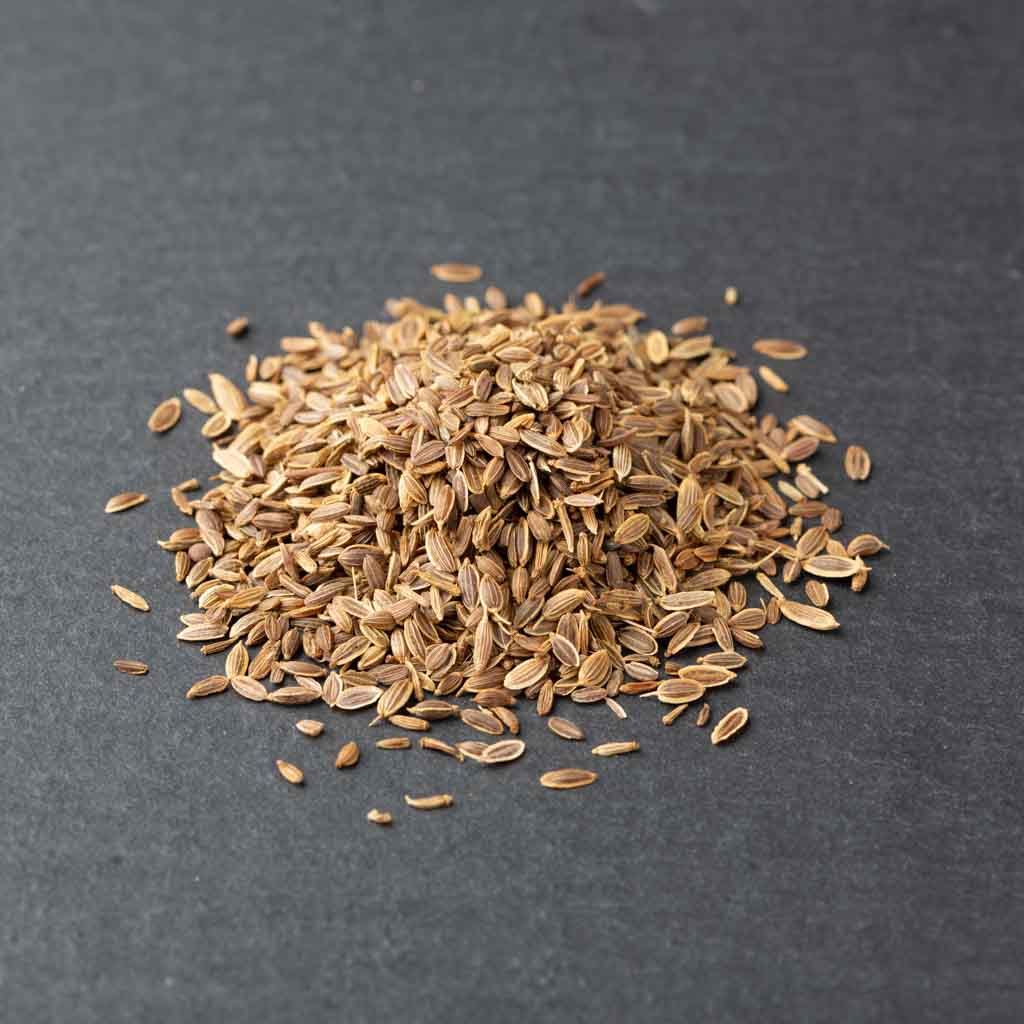 Dill Seed fresh from India, small batch spice grassy aroma