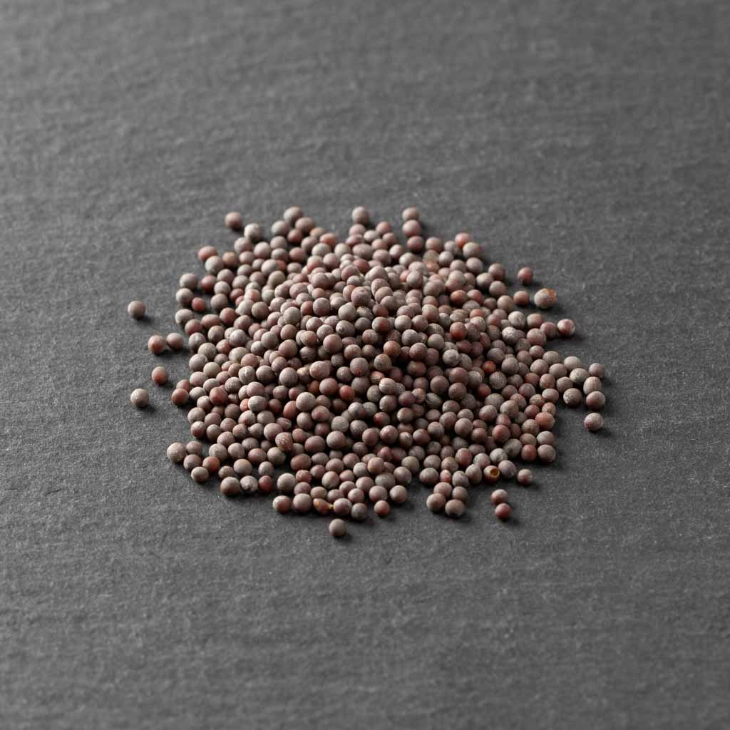 Fresh black mustard seed from India award-winning