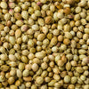 Fresh Aromatic Dried Coriander Seed from Kerala India